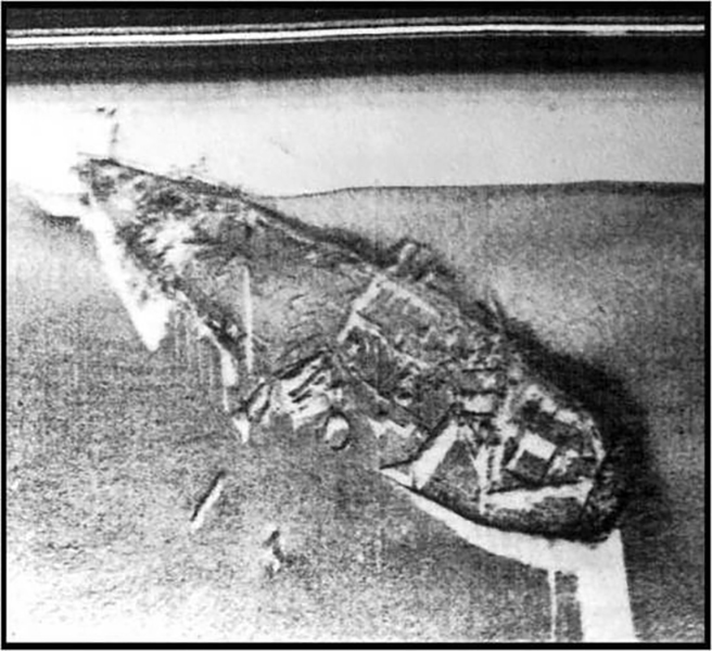 Side scan image of shipwreck.
