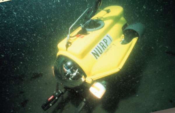 Build an Underwater Robot