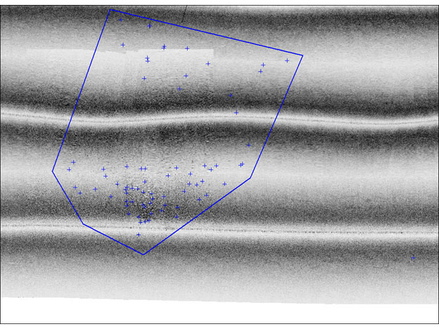 Area mosaic of side scan sonar data collected by NOAA Ship Whiting representing the Egypt Air Flight 990 debris field.