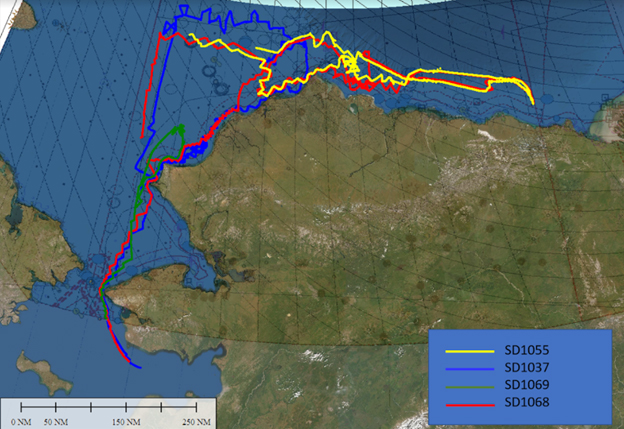Overview graphic showing the navigation tracks of all four saildrones during the nearly two-month deployment as part of the North Slope Arctic mapping mission.